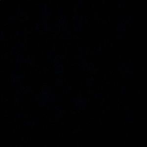 Meet your Posher, Stephen